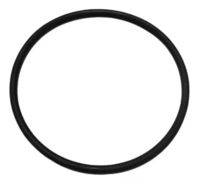 ANEL ORING CORPO BOMBA NBFHM 164.70X3.53mm